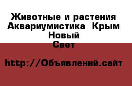 Животные и растения Аквариумистика. Крым,Новый Свет